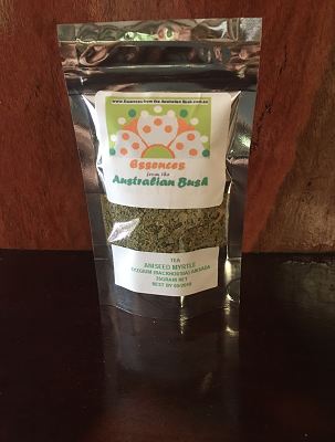 Essences-from-the-Australian-Bush-Backhousia-anasata-Aniseed-Myrtle-Tea